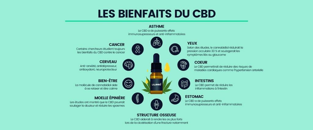 Une liste complète des bienfaits du CBD établie par le CBD Shop France de uWeed