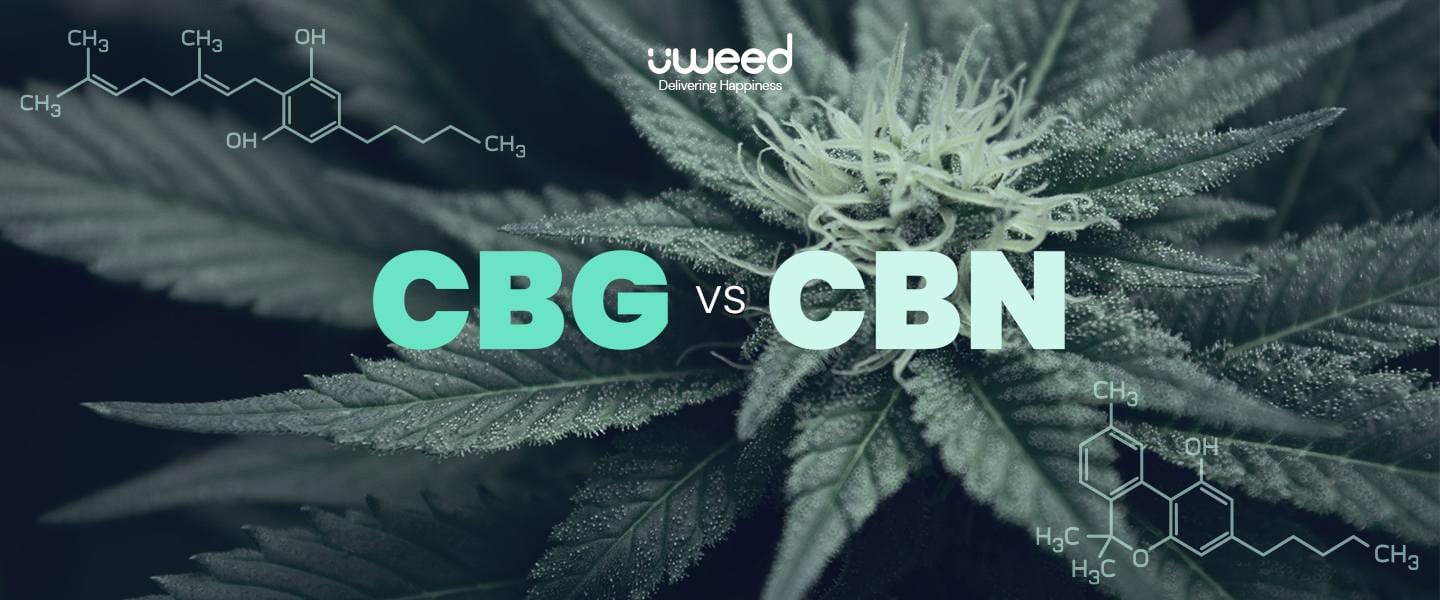 Tableau comparatif soulignant les différences entre le CBG et le CBN, notamment en matière d'effets et d'utilisation.
