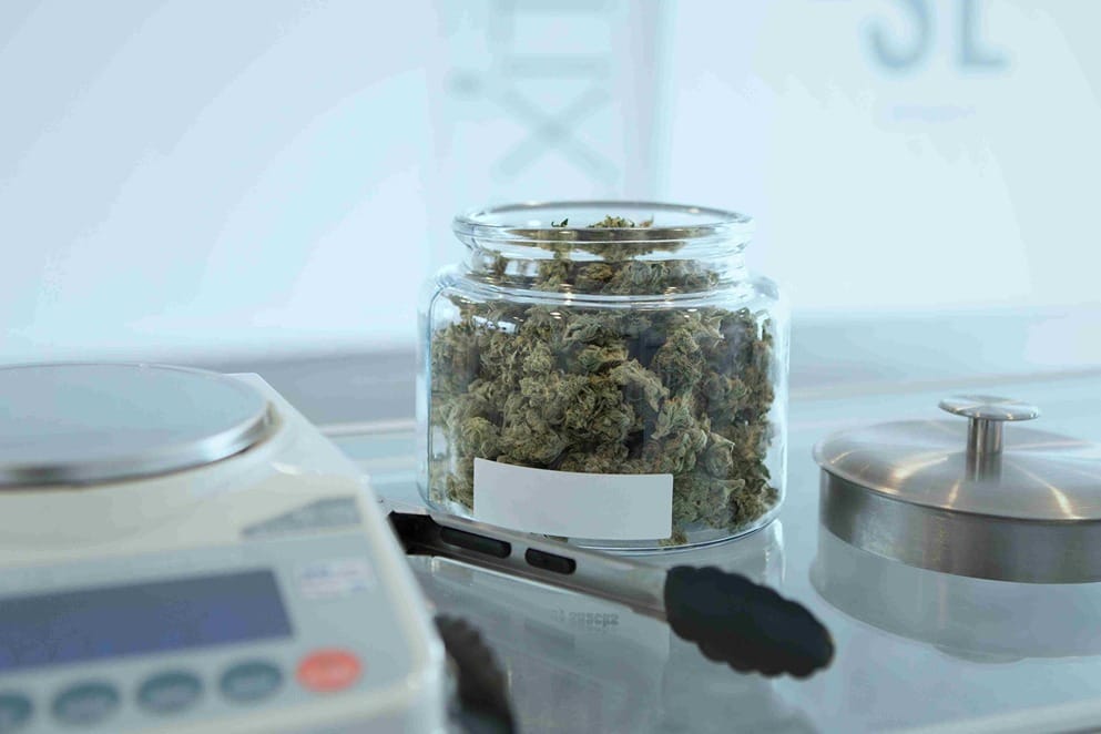 Têtes de cannabis dans un pot en verre avec une balance à côté ainsi que des ustensiles de laboratoire