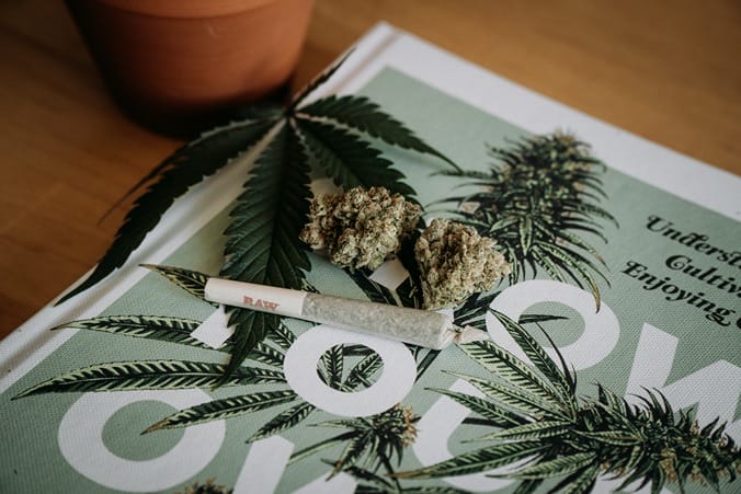 Des fleurs de CBD ainsi qu'un joint posé sur un livre symbolisant les mythes et réalités du cannabis