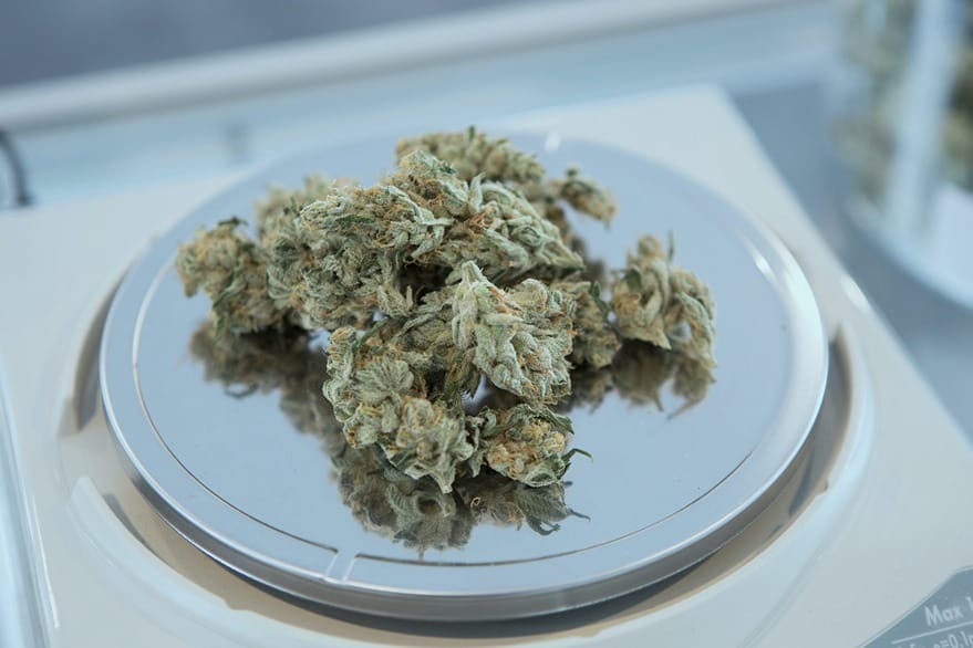 Des têtes de cannabis sur une balance de laboratoire symbolisant les recherches sur les différents cannabinoides comme le CBG, CBN, CBC