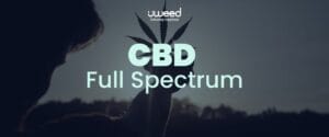 Photo d'une bouteille d'huile CBD Full Spectrum, avec une mise en avant de ses divers cannabinoïdes et terpènes.
