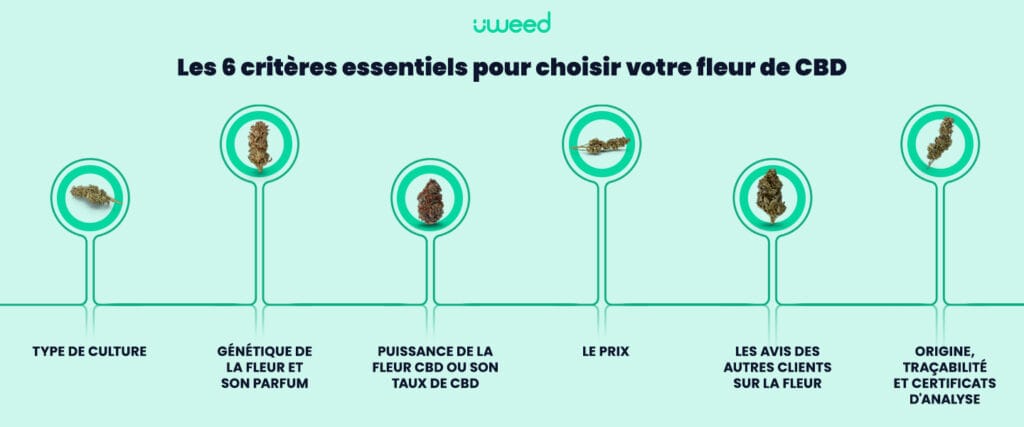 Infographie montrant les 6 critères essentiels pour choisir une fleur de CBD : type de culture, génétique de la fleur et son parfum, puissance de la fleur ou taux de CBD, prix, avis des autres clients, origine et traçabilité avec certificats d'analyse.